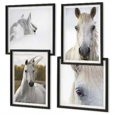 Set de 4 cuadros para salón motivo de caballos blancos