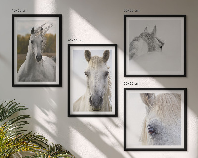 Set de 4 cuadros para salón caballos blancos