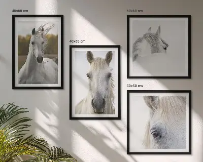 Set de 4 cuadros para salón motivo de caballos blancos