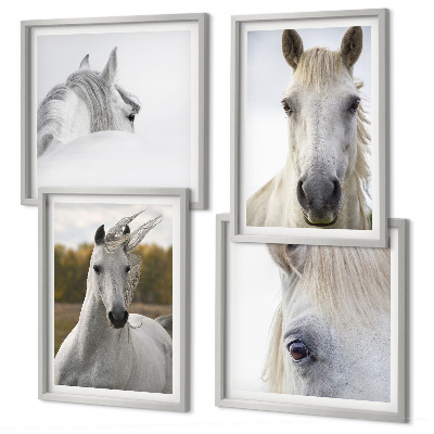 Set de 4 cuadros para salón caballos blancos