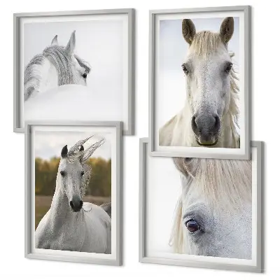 Set de 4 cuadros para salón motivo de caballos blancos
