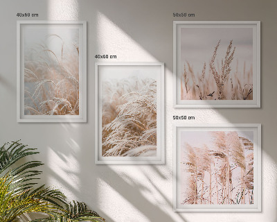 Set de 4 cuadros para salón Campos de hierba en tonos marrones y beige.