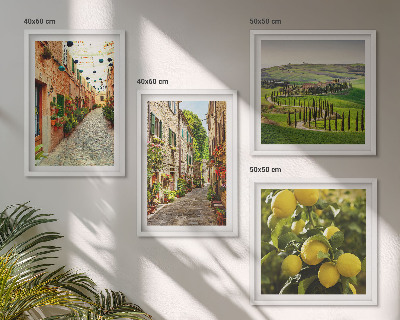 Set de 4 cuadros para salón Encantadoras calles de limoneros en flor