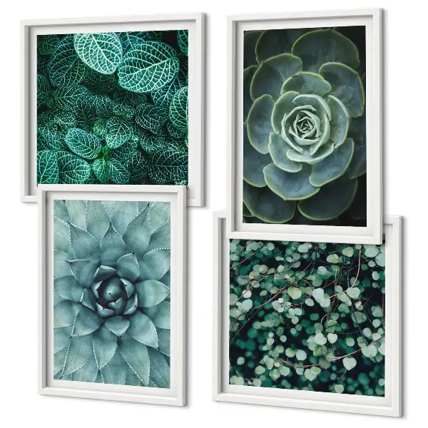 Set de 4 cuadros para salón con diseño de suculentas en tonos verde y turquesa