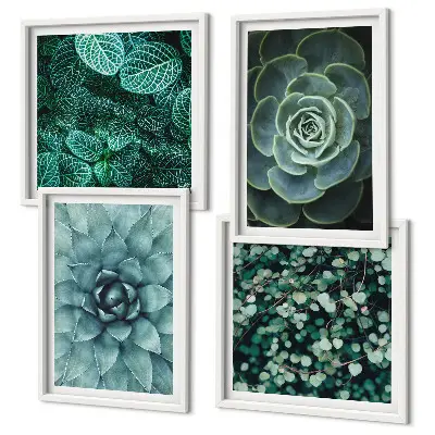 Set de 4 cuadros para salón con diseño de suculentas en tonos verde y turquesa