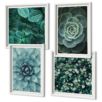 Set de 4 cuadros para salón Suculentas en verde y turquesa