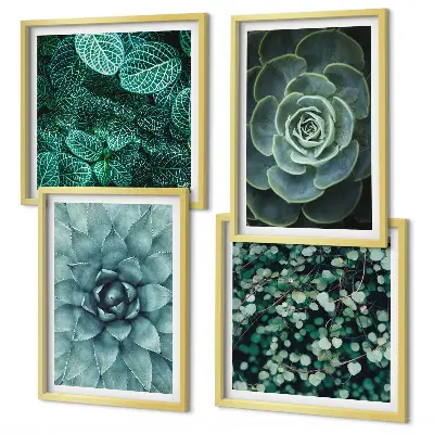 Set de 4 cuadros para salón con diseño de suculentas en tonos verde y turquesa