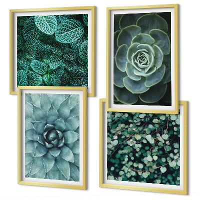 Set de 4 cuadros para salón Suculentas en verde y turquesa