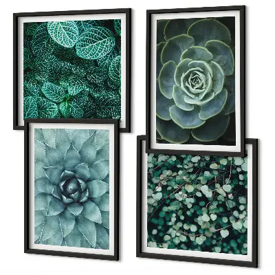 Set de 4 cuadros para salón con diseño de suculentas en tonos verde y turquesa