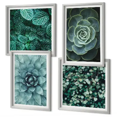 Set de 4 cuadros para salón con diseño de suculentas en tonos verde y turquesa