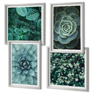 Set de 4 cuadros para salón Suculentas en verde y turquesa