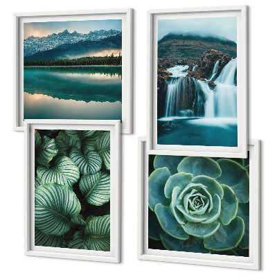 Galería de pared Primeros planos de hojas de plantas suculentas