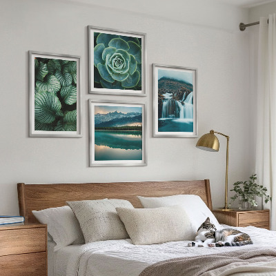 Galería de pared Primeros planos de hojas de plantas suculentas