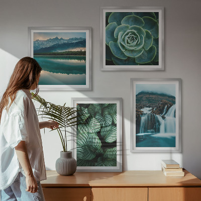 Galería de pared Primeros planos de hojas de plantas suculentas