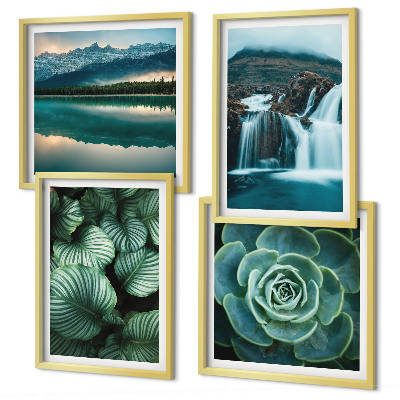 Galería de pared Primeros planos de hojas de plantas suculentas