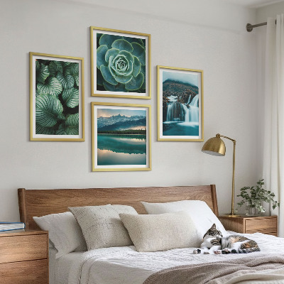 Galería de pared Primeros planos de hojas de plantas suculentas