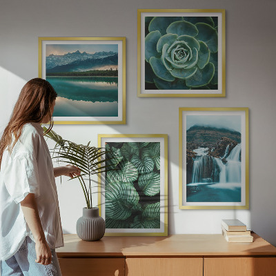 Galería de pared Primeros planos de hojas de plantas suculentas