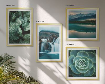 Galería de pared Primeros planos de hojas de plantas suculentas