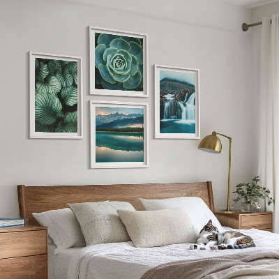 Galería de pared Primeros planos de hojas de plantas suculentas