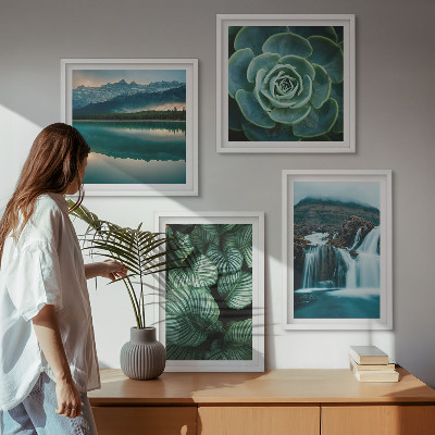 Galería de pared Primeros planos de hojas de plantas suculentas