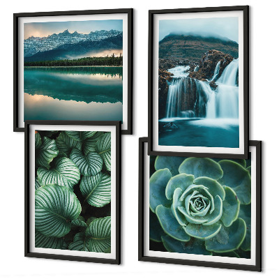 Galería de pared Primeros planos de hojas de plantas suculentas
