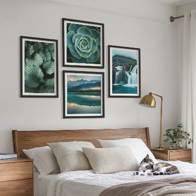 Galería de pared Primeros planos de hojas de plantas suculentas