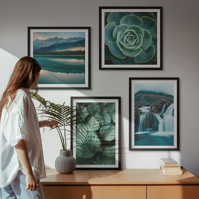 Galería de pared Primeros planos de hojas de plantas suculentas