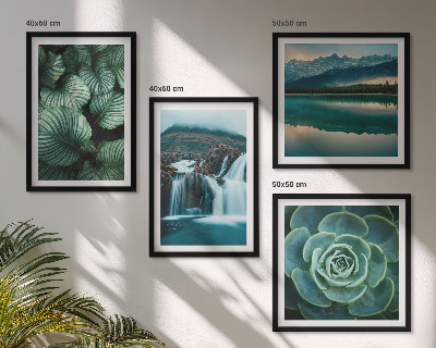 Galería de pared Primeros planos de hojas de plantas suculentas