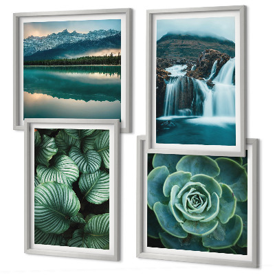 Galería de pared Primeros planos de hojas de plantas suculentas