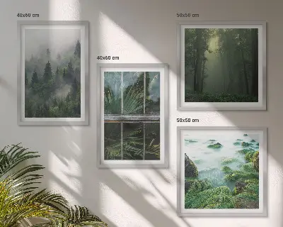 Set de cuadros modernos para salón diseño de plantas de invernadero en río de niebla forestal