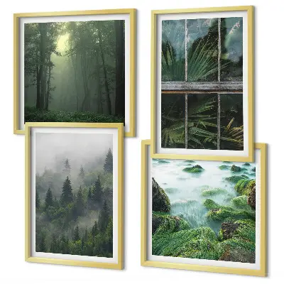 Set de cuadros modernos para salón diseño de plantas de invernadero en río de niebla forestal