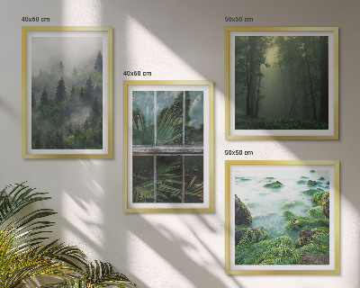 Set de cuadros modernos para salón Plantas de invernadero del río de niebla forestal