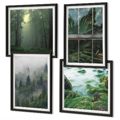 Set de cuadros modernos para salón Plantas de invernadero del río de niebla forestal