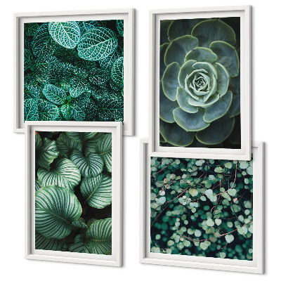Galería de pared Hojas verdes de suculentas elegantes