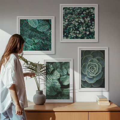 Galería de pared Hojas verdes de suculentas elegantes