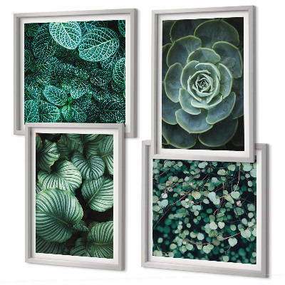 Galería de pared Hojas verdes de suculentas elegantes