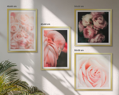 Galería de pared flamencos rosa pastel