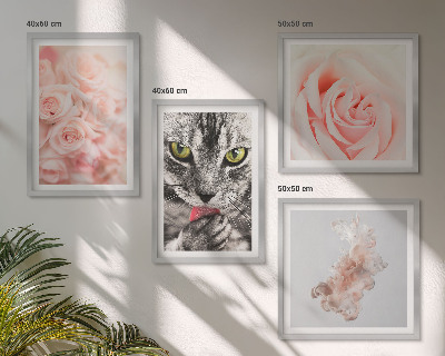 Set de 4 cuadros para salón Rosas de gato gris abstracto
