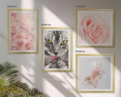 Set de 4 cuadros para salón Rosas de gato gris abstracto