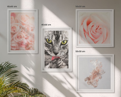 Set de 4 cuadros para salón Rosas de gato gris abstracto