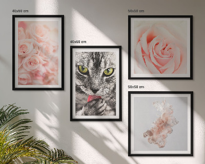 Set de 4 cuadros para salón Rosas de gato gris abstracto