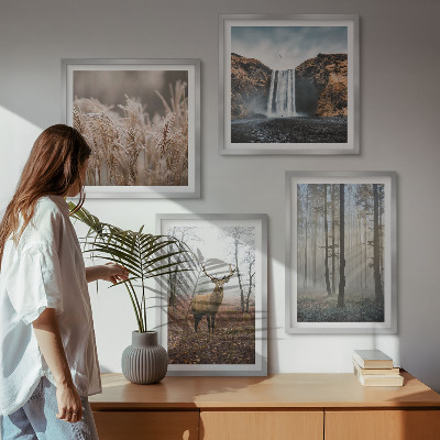 Galería de pared Paisajes forestales de naturaleza salvaje