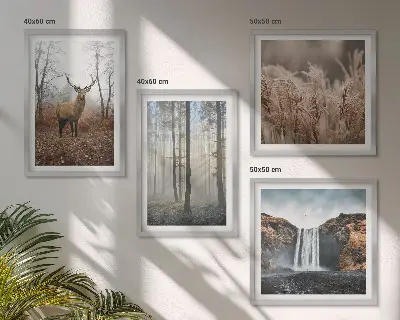 Galería de pared paisajes de naturaleza salvaje y bosques