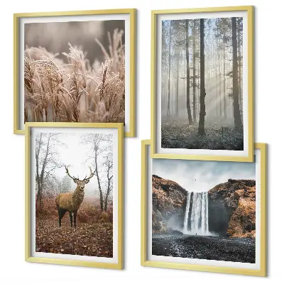 Galería de pared paisajes de naturaleza salvaje y bosques