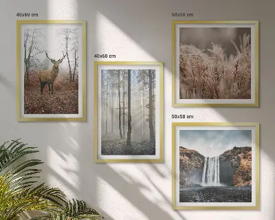 Galería de pared paisajes de naturaleza salvaje y bosques