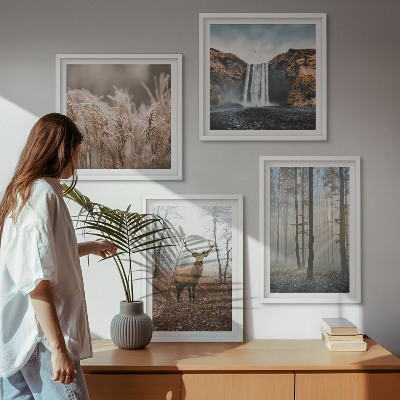 Galería de pared Paisajes forestales de naturaleza salvaje