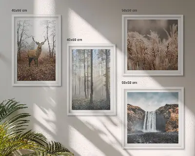 Galería de pared paisajes de naturaleza salvaje y bosques