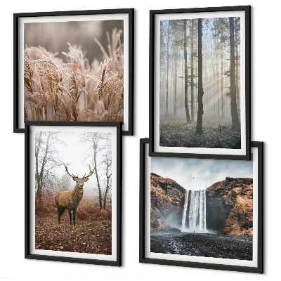 Galería de pared Paisajes forestales de naturaleza salvaje