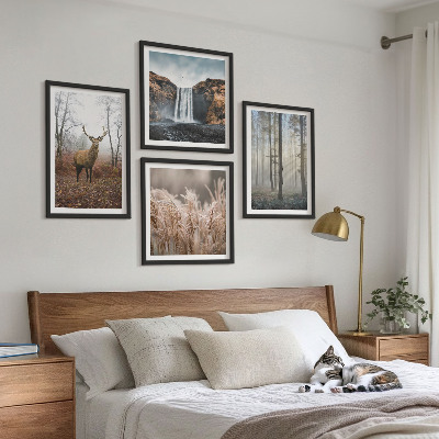 Galería de pared Paisajes forestales de naturaleza salvaje