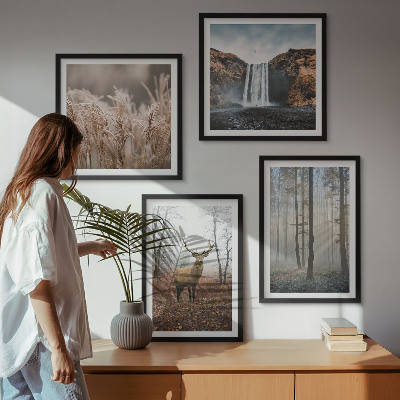 Galería de pared Paisajes forestales de naturaleza salvaje